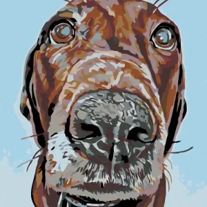 Neu Diamond painting - HUND MIT GROßEM SCHNÄUZCHEN