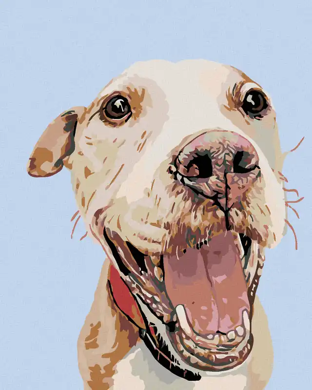 Diamond painting – GLÜCKLICHER KÖTER Online Kaufen