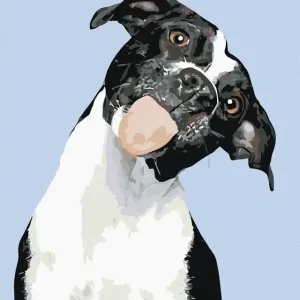 Nur Heute Diamond painting - SCHWARZWEIßER HUND MIT HERAUSGESTRECKTER ZUNGE