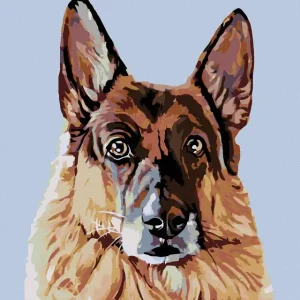 Preisreduziert Diamond painting - SCHAUENDER DEUTSCHER SCHÄFERHUND