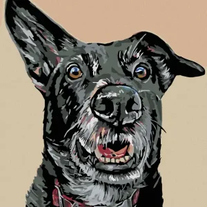 Diamond painting - SCHWARZER HUND UND GESPITZTES OHR Kostenloser Versand