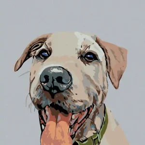 Diamond painting - HUND MIT GRÜNEM HALSBAND Neu