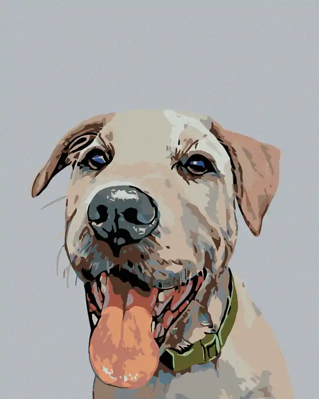 Diamond painting – HUND MIT GRÜNEM HALSBAND Neu