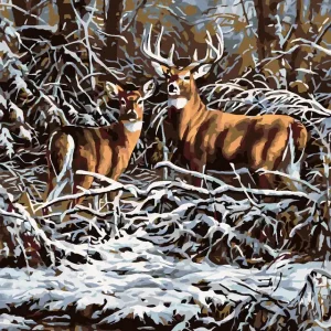 Rabatt Diamond painting - HIRSCH UND HINDIN IM GEBÜSCH