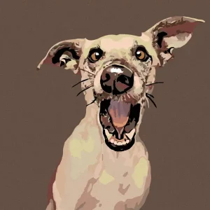 Großhandel Diamond painting - ÜBERRASCHTER HUND