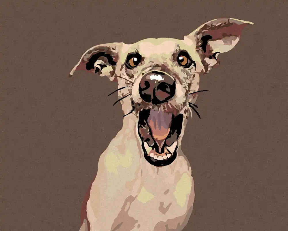 Großhandel Diamond painting – ÜBERRASCHTER HUND