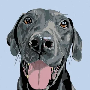 Diamond painting - SCHWARZER SCHÖNLING Nur Für Kurze Zeit