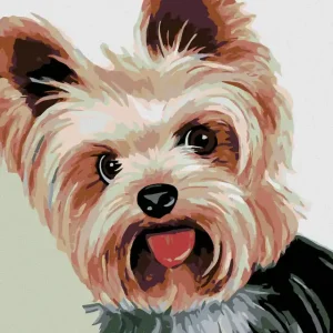 Diamond painting - KLEINER YORKSHIRE II Super-Preis