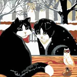 Wochenendangebot Diamond painting - SCHWARZWEIßE KATZEN AUF DEM ZAUN