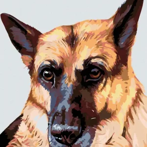 Diamond painting - WOLFSHUND Markenware