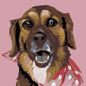 Diamond painting - KLEINER HUND MIT GEPUNKTETEM HALSBAND Nur Heute