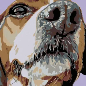 Kracherpreis Diamond painting - SCHNUFFI VOM BEAGLE