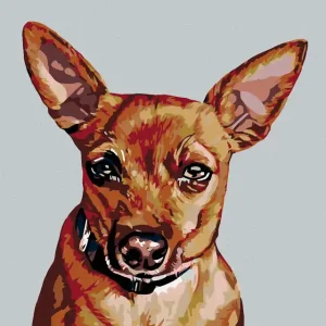Diamond painting - ZWERGPINSCHER Limited Edition