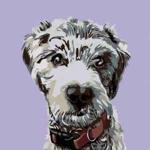 Begrenztes Angebot Diamond painting - HAARIGER HUND MIT ROTEM HALSBAND