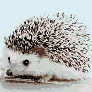 Diamond painting - IGEL Must-Have