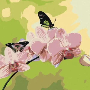 Diamond painting - ORCHIDEE MIT SCHMETTERLINGEN Sofort Bestellen