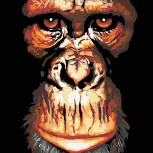 Preisreduziert Diamond painting - SCHIMPANSE