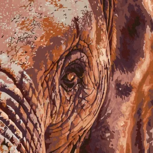 Jetzt Zugreifen Diamond painting - ELEFANTENBLICK