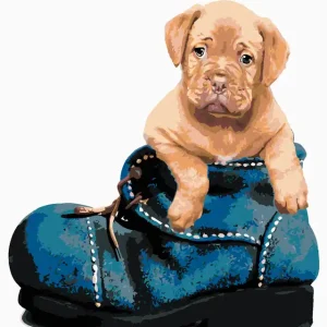 Diamond painting - HUNDEWELPE IM SCHUH Preiswert