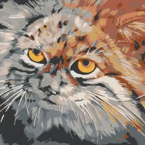 Diamond painting - GRAUBRAUNE KATZE Top-Qualität