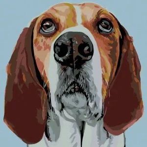 Diamond painting - BEAGLE Rabatt