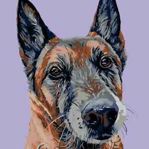 Diamond painting - ALTER WOLFSHUND Knallerangebot