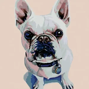 Limited Edition Diamond painting - WEIßE BULLDOGGE MIT BLAUEM HALSBAND