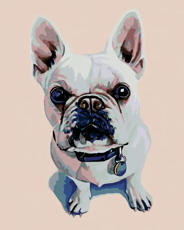 Limited Edition Diamond painting – WEIßE BULLDOGGE MIT BLAUEM HALSBAND