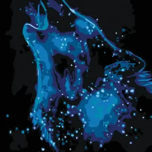 Rabatt Diamond painting - STERNENWOLF
