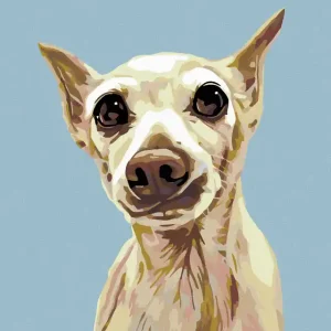 Garantierte Lieferung Diamond painting - ERSCHROCKENER HUND