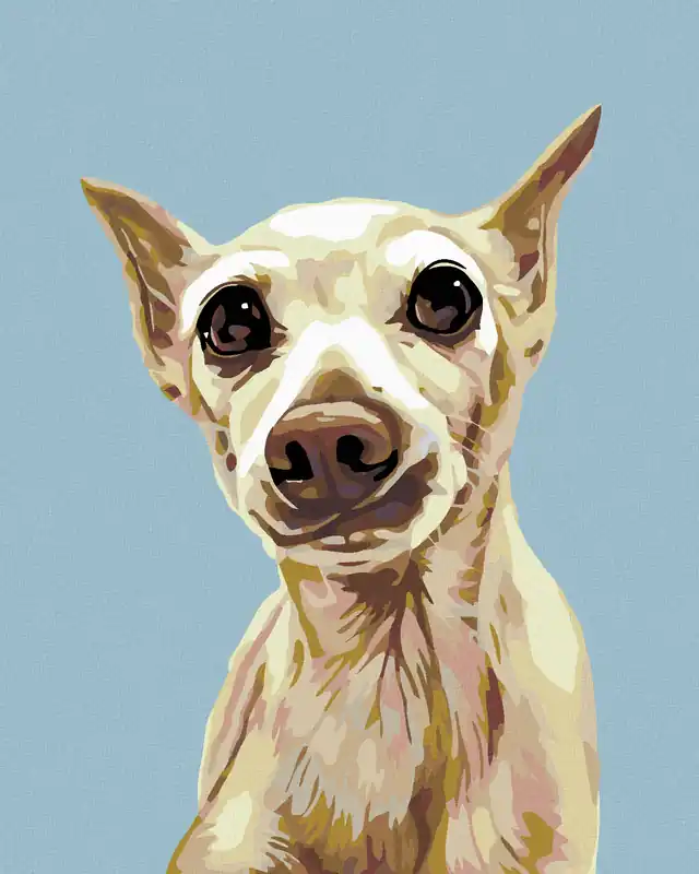 Garantierte Lieferung Diamond painting – ERSCHROCKENER HUND