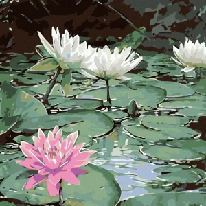 Diamond painting - ROSA SEEROSE UND DREI WEIßE Im Trend