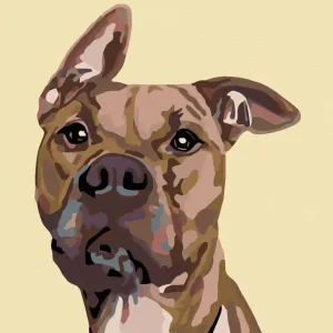 Diamond painting - HUND MIT GESPITZTEM OHR Ausverkauf