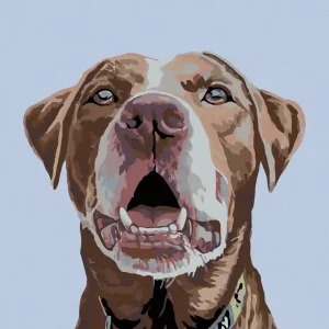 Diamond painting - BRAUNER LABRADOR Kostenfreie Lieferung