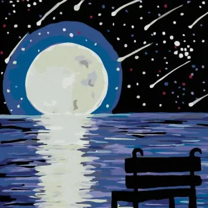 Jetzt Kaufen Diamond painting - SITZBANK MOND UND PERSEIDEN