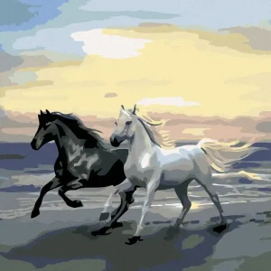 Diamond painting - PFERDE AM STRAND Garantierte Lieferung