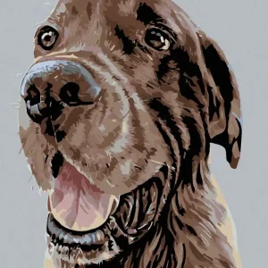 Diamond painting - WUNDERSCHÖNER BRAUNER SETTER Top-Preis