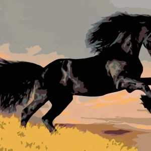 Preiswert Diamond painting - SCHWARZES PFERD