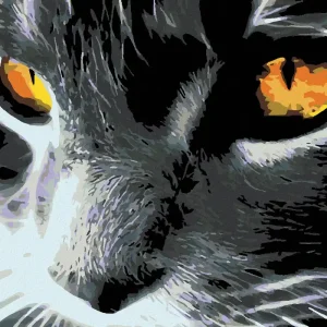 Diamond painting - SCHWARZE KATZE UND EIN KLARER BLICK Kostenloser Rückversand
