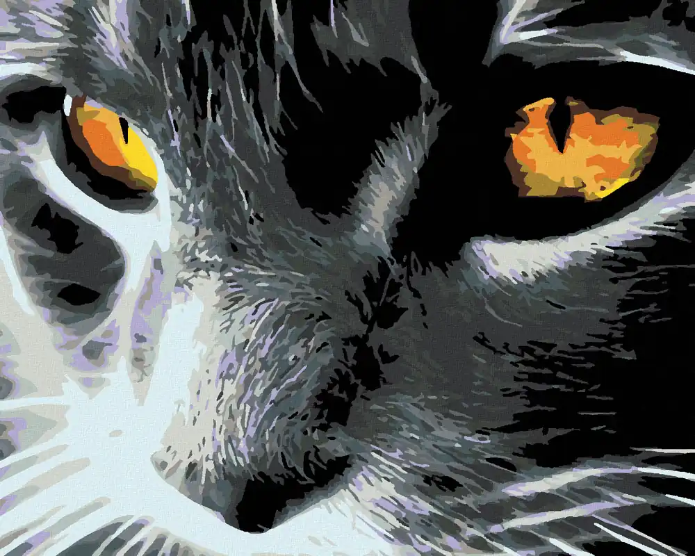 Diamond painting – SCHWARZE KATZE UND EIN KLARER BLICK Kostenloser Rückversand