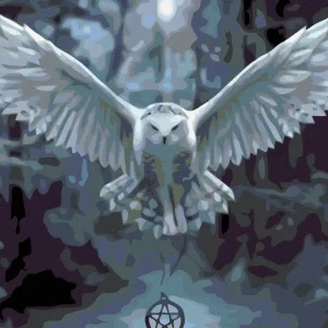 Abverkauf Diamond painting - EULE MIT PENTAGRAMM