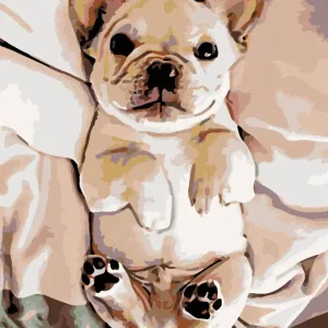 Diamond painting - KLEINES BULLDOGGE-WELPCHEN Beliebt