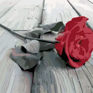 Kostenloser Rückversand Diamond painting - HINGELEGTE ROSE