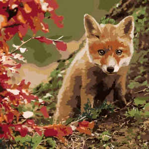 Diamond painting - KLEINER FUCHS Preis Gesenkt