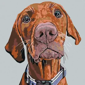 Diamond painting - RIDGEBACK MIT BLAUEM HALSBAND Begrenztes Angebot