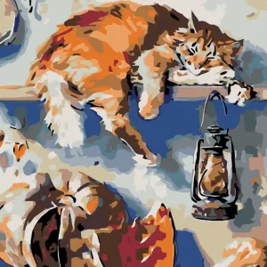 Diamond painting - SCHLAFENDER KATER AUF DEM REGAL IN SPEISEKAMMER Preisknaller