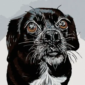 Diamond painting - SCHWARZWEIßER MISCHLING Knallerangebot