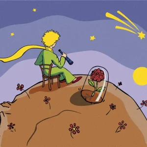 Bestseller Diamond painting - DER KLEINE PRINZ SCHAUT IN DIE STERNE