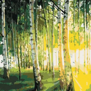 Diamond painting - BIRKEN IM BELEUCHTETEN WALD Nur Heute