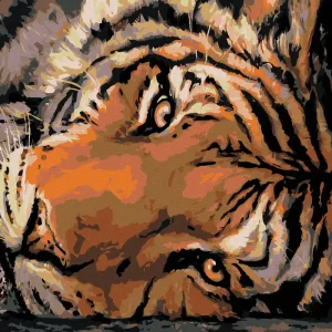 Nur Heute Diamond painting - KLARER TIGERBLICK